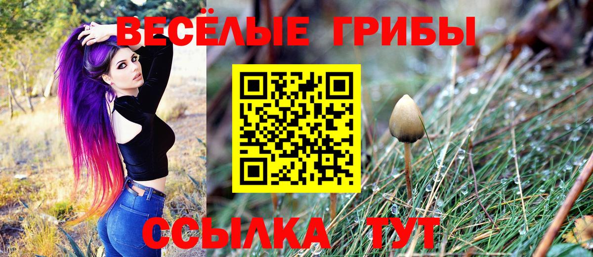 дарнет шоп  Псилоцибиновые грибы мицелий  Костомукша  Вход с VPN  Псилоцибиновые грибы мицелий 