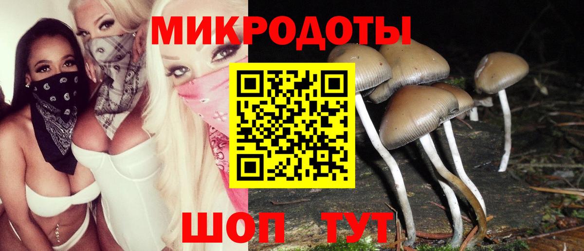 Псилоцибиновые грибы Magic Shrooms Костомукша